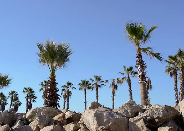 Апартаменты Iliria *